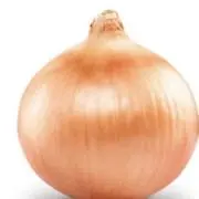 玉ねぎ