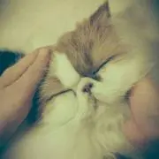 ウタカタ～帰宅～