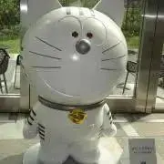 はるちゅあんの画像