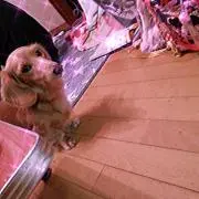 な な み