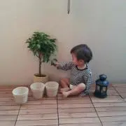 黒パンダ