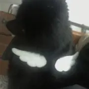 ദി- ̫ -)