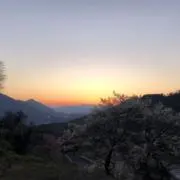 悠