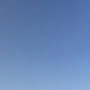 まいの画像