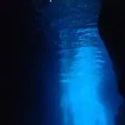 ぽんちゃん