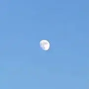 あいりの画像