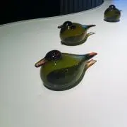 azukiの画像