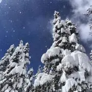 snowflakeの画像