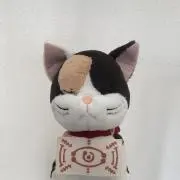 ねこまるの画像