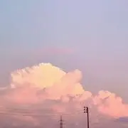 ハッピーレモン