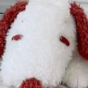 piyoの画像