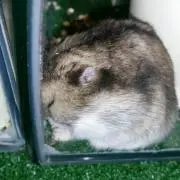 あ