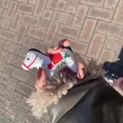 pucchoの画像