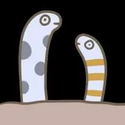 あなごの画像