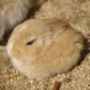 ✩。みい。✩