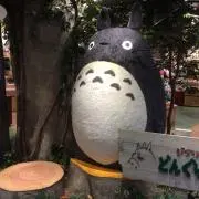 みーの画像