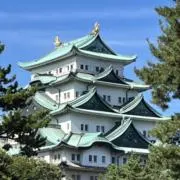 クローバー　即購入者大歓迎の画像