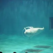 ちま
