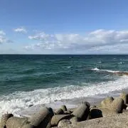 HOTATEの画像