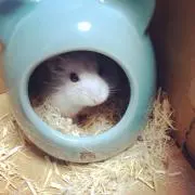 aptxyuの画像