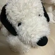 アングリー