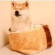 わた丸