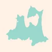 かんぞうの画像