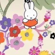 レイ