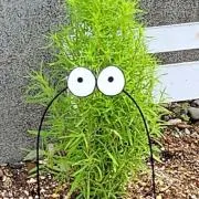 颯太くんの画像