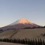 ゆーの画像