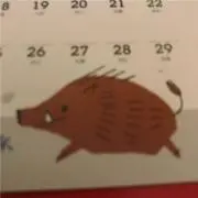 ウリ坊
