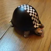 カメゴンの画像
