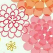 rauの画像