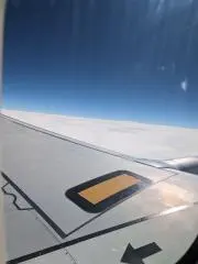 真朱