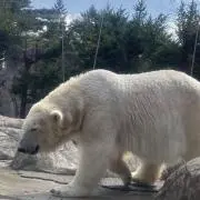 おかだ