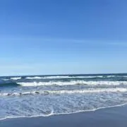 むむむの画像
