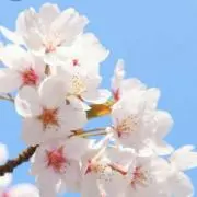 ♡もも♡プロフィール読んで下さい♡