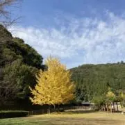 naoppyの画像