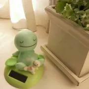 まゆゆまま
