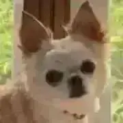 ゆっきーの画像
