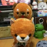 しばわん