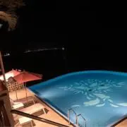マルヤの画像