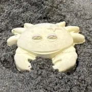 カニ太郎の画像