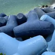 ショア
