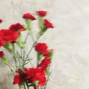 rie  MAMA