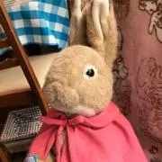 ワンコスター