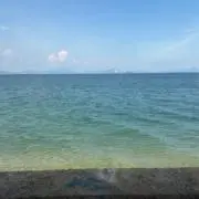 かいりの画像