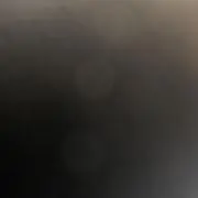 カラス
