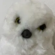 おまつの画像