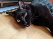 中むら屋